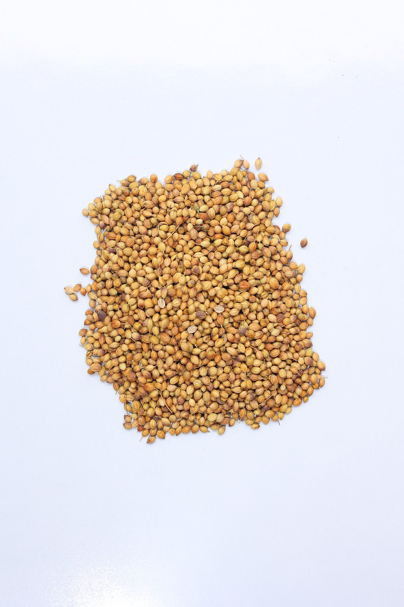 Coriander Seeds