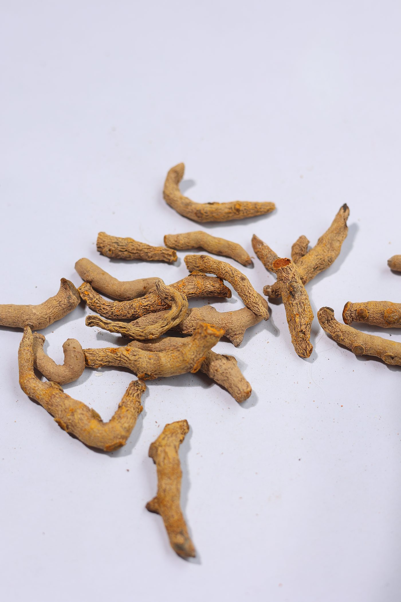Turmeric Fingers for export