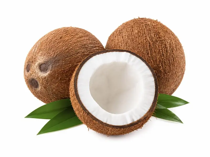 Coconut for export