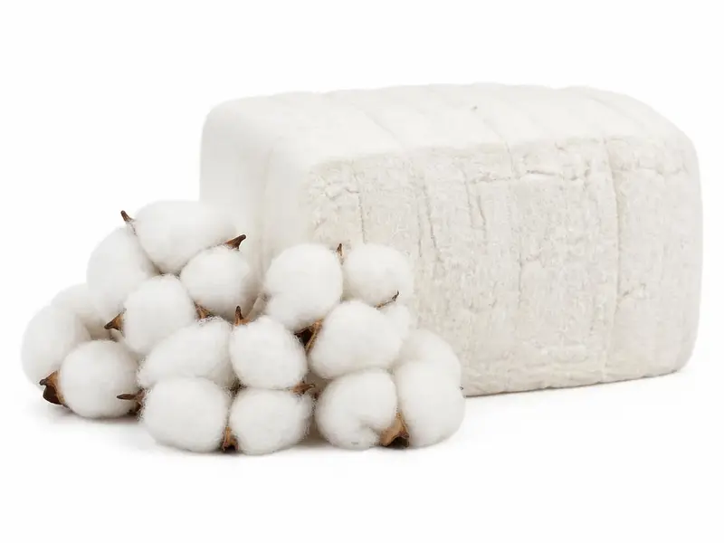 Cotton for export